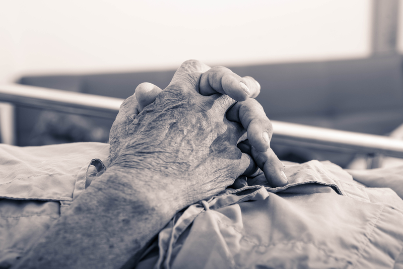 Imagen: ShutterB / Shutterstock